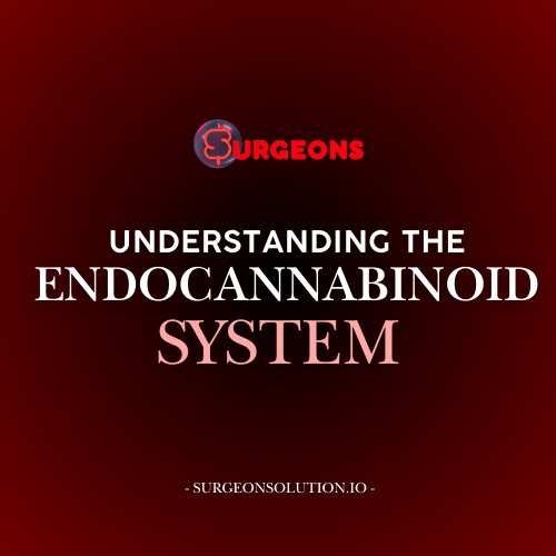 Understanding the Endocannabinoid System (ECS): How Cannabinoids Support Balance and Wellness