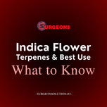 Indica CBD Flower Explained: Effects, Terpenes & Best Uses
