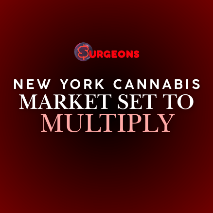 New York's Legal Cannabis Market Set to Expand Significantly in 2025