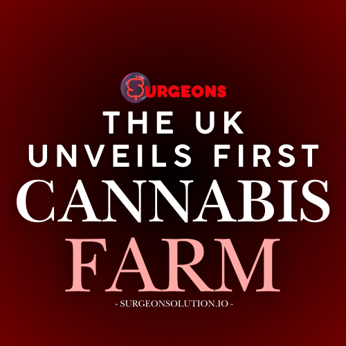 Inside UK’s First Medical Cannabis Farm: An Industry Game-Changer