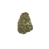 Single bud of Biscotti CBD / hemp flower