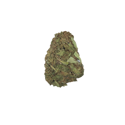 Single bud of Biscotti CBD / hemp flower