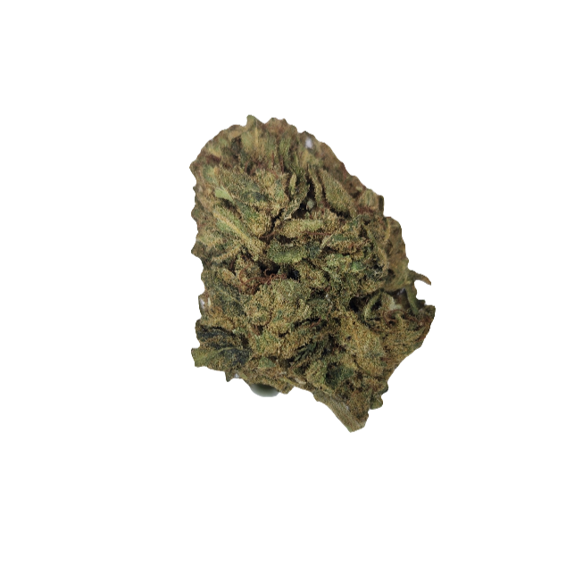 Single bud of CBD / hemp flower