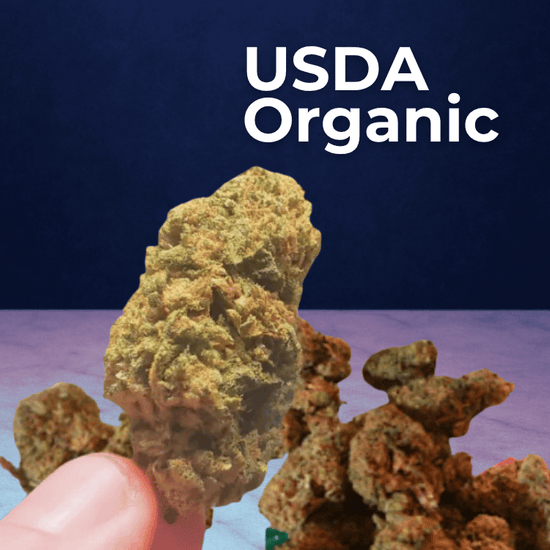 Surgeons CBD enriched hemp flower on a purple granite background