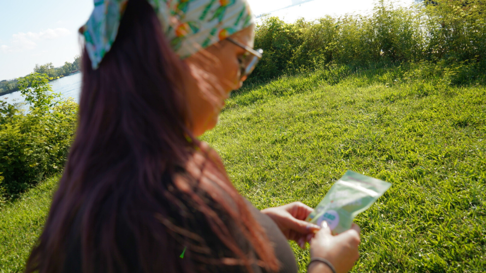 Outdoor shot about entering Surgeons Online Cannabinoid Academy